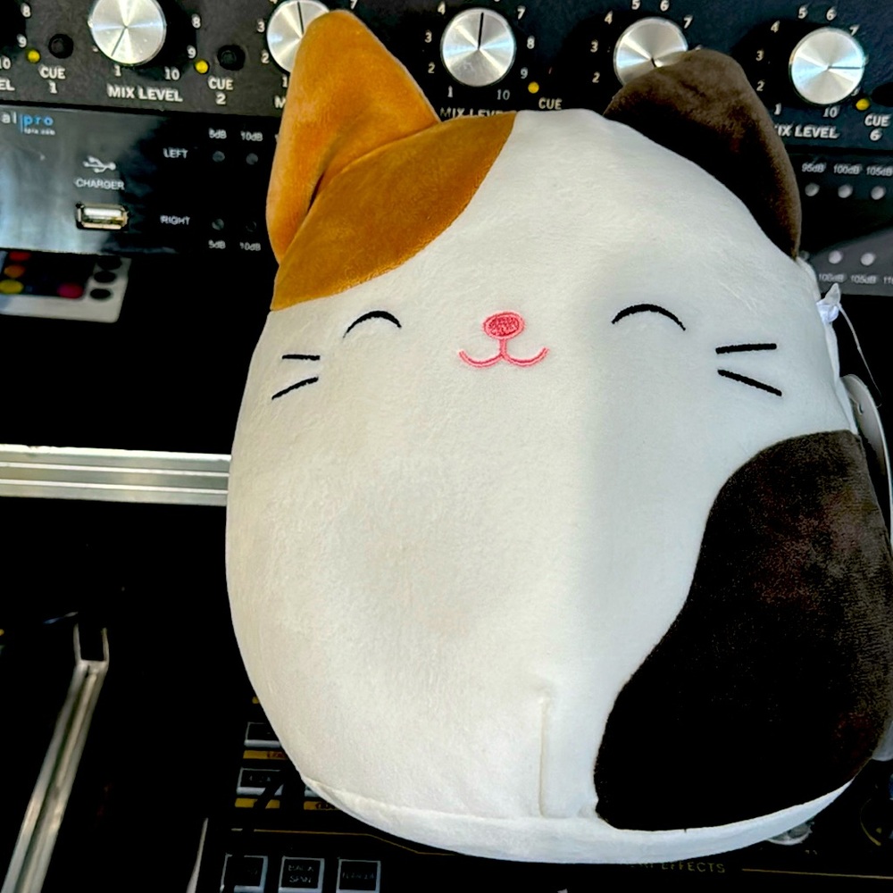 Squishmallows CAM the Calico Cat 8" Plush NWT